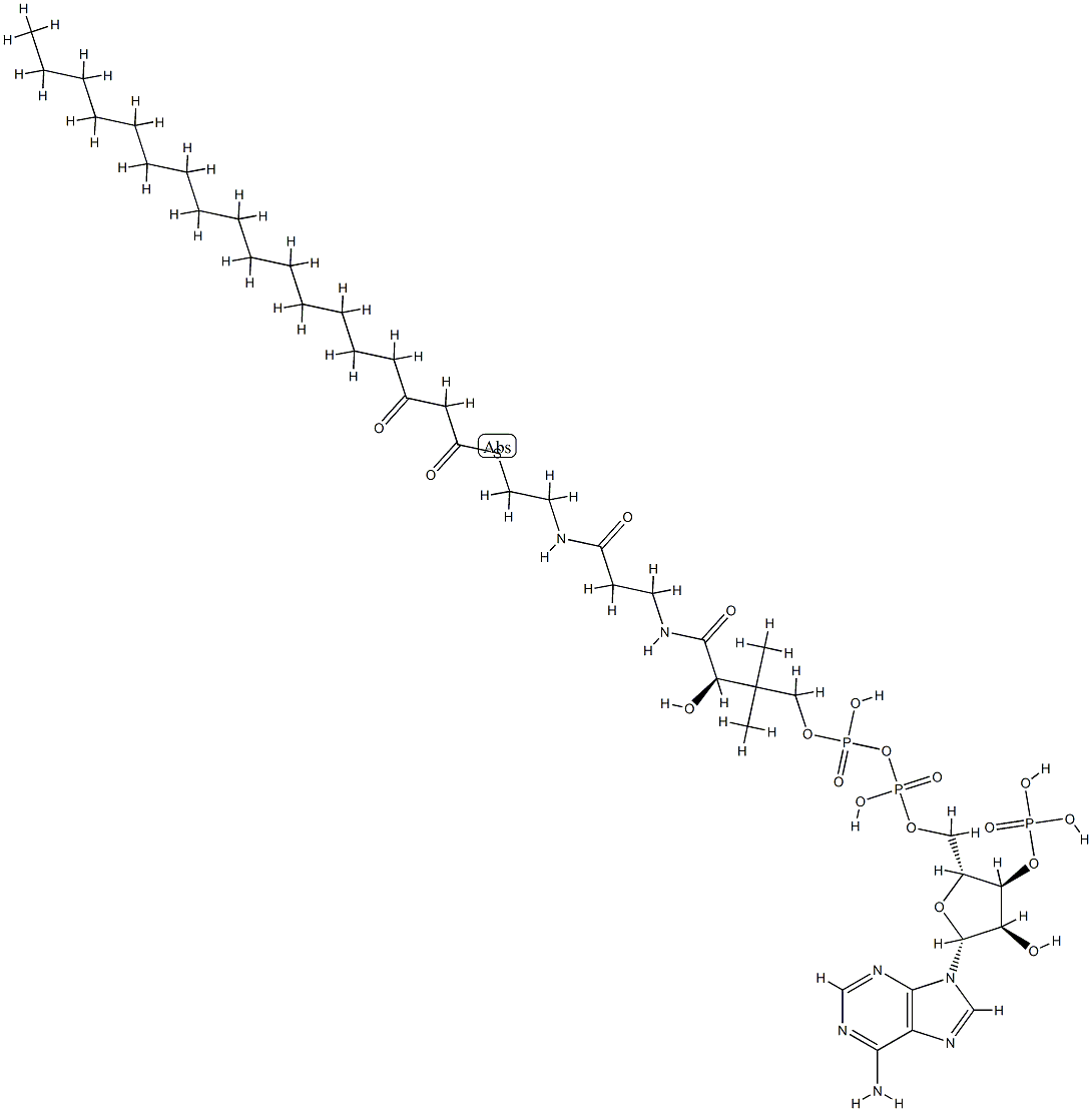 3-ketostearoyl-coenzyme A Structure