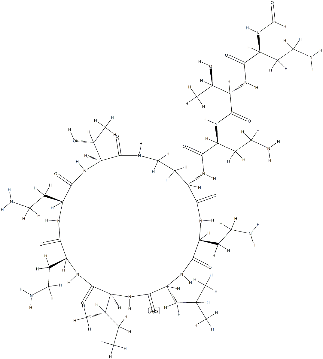 Circulin  Structure