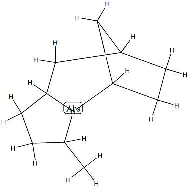 5,8-Methano-1H-pyrrolo[1,2-a]azepine,octahydro-3-methyl-(9CI) Structure