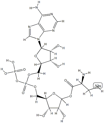 ADP-ribosylcysteine Structure