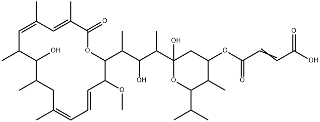 TS 155-2 Structure