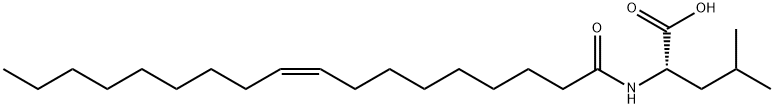 N-Oleoyl Leucine Structure