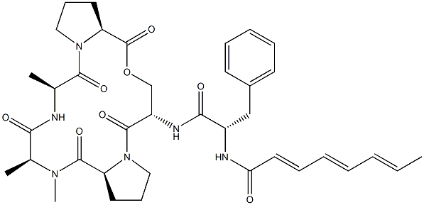 A 54556B Structure