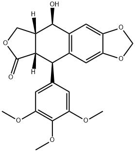 (-)PPP Structure