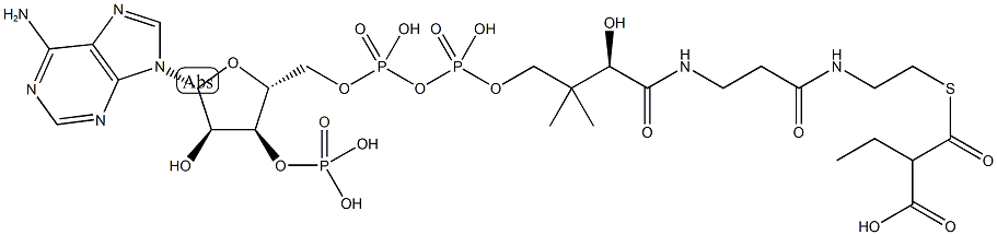 ethylmalonyl-coenzyme A Structure