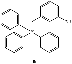 MitoP Structure