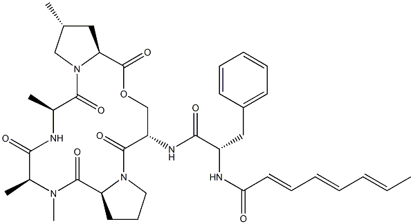 A 54556A 구조식 이미지