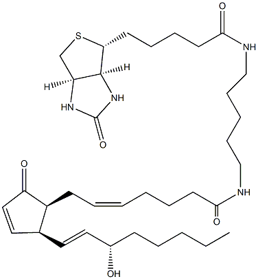 8-iso Prostaglandin A2-biotin 구조식 이미지