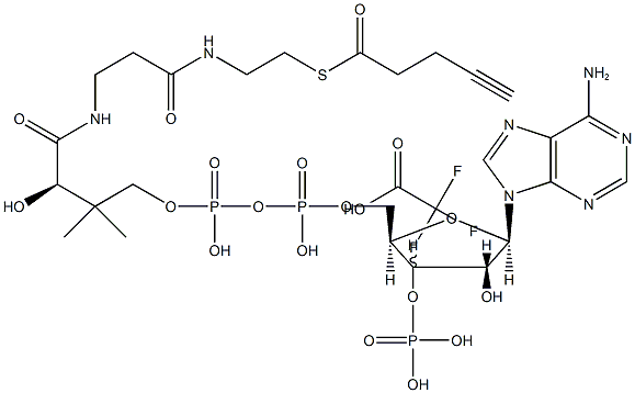 4-pentynoyl-Coenzyme A (trifluoroacetate salt) 구조식 이미지