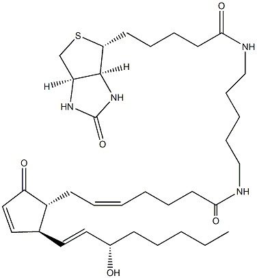 Prostaglandin A2-biotin 구조식 이미지