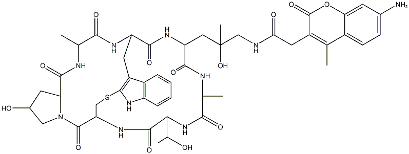 Phalloidin-AMCA Conjugate 구조식 이미지