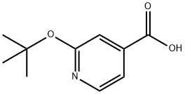 2-(tert-butoxy)pyridine-4-carboxylic acid 구조식 이미지