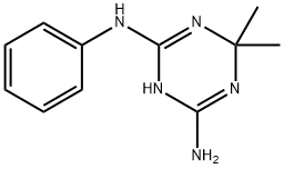 6,6-DIMETHYL-N~2~-PHENYL-1,6-DIHYDRO-1,3,5-TRIAZINE-2,4-DIAMINE 구조식 이미지