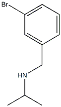 [(3-bromophenyl)methyl](propan-2-yl)amine 구조식 이미지