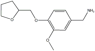 1-[3-methoxy-4-(tetrahydrofuran-2-ylmethoxy)phenyl]methanamine Structure
