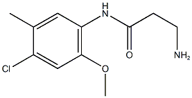 3-amino-N-(4-chloro-2-methoxy-5-methylphenyl)propanamide Structure