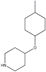 4-[(4-methylcyclohexyl)oxy]piperidine Structure