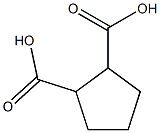 cyclopentane-1,2-dicarboxylic acid 구조식 이미지