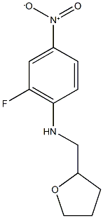 2-fluoro-4-nitro-N-(oxolan-2-ylmethyl)aniline 구조식 이미지