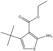 ethyl 2-amino-4-tert-butylthiophene-3-carboxylate 구조식 이미지