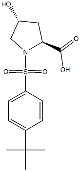 (2S,4R)-1-[(4-tert-butylphenyl)sulfonyl]-4-hydroxypyrrolidine-2-carboxylic acid 구조식 이미지