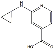 2-(cyclopropylamino)pyridine-4-carboxylic acid Structure