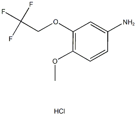 4-methoxy-3-(2,2,2-trifluoroethoxy)aniline hydrochloride 구조식 이미지