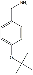 [4-(tert-butoxy)phenyl]methanamine 구조식 이미지