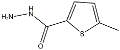 5-methylthiophene-2-carbohydrazide Structure