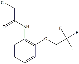 2-CHLORO-N-[2-(2,2,2-TRIFLUOROETHOXY)PHENYL]ACETAMIDE Structure