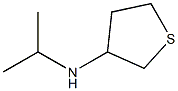 N-Isopropyltetrahydrothiophen-3-amine 구조식 이미지