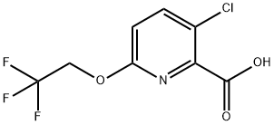 3-chloro-6-(2,2,2-trifluoroethoxy)pyridine-2-carboxylic acid Structure