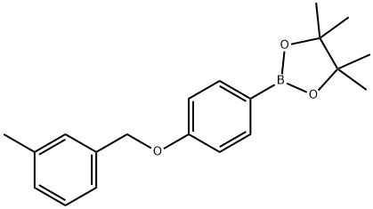 4,4,5,5-tetramethyl-2-(4-((3-methylbenzyl)oxy)phenyl)-1,3,2-dioxaborolane 구조식 이미지