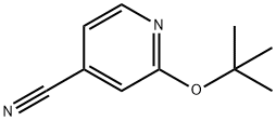 2-(tert-butoxy)pyridine-4-carbonitrile 구조식 이미지