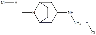 3-hydrazinyl-8-methyl-8-azabicyclo[3.2.1]octane dihydrochloride Structure
