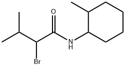 2-bromo-3-methyl-N-(2-methylcyclohexyl)butanamide Structure