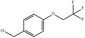 1-(chloromethyl)-4-(2,2,2-trifluoroethoxy)benzene Structure