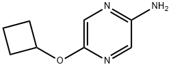 2-Amino-5-(cyclobutoxy)pyrazine Structure