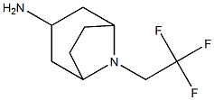 8-(2,2,2-trifluoroethyl)-8-azabicyclo[3.2.1]octan-3-amine Structure
