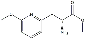 METHYL (2R)-2-AMINO-3-(6-METHOXYPYRIDIN-2-YL)PROPANOATE Structure