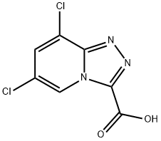 6,8-dichloro-[1,2,4]triazolo[4,3-a]pyridine-3-carboxylic acid 구조식 이미지
