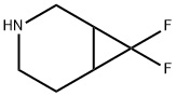 7,7-difluoro-3-azabicyclo[4.1.0]heptane Structure