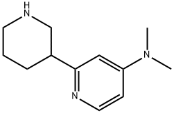 N,N-dimethyl-2-(piperidin-3-yl)pyridin-4-amine 구조식 이미지