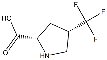 (2S,4S)-4-(trifluoromethyl)pyrrolidine-2-carboxylic acid Structure