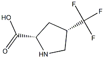 (2S,4S)-4-(trifluoromethyl)pyrrolidine-2-carboxylic acid 구조식 이미지