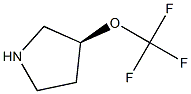 (S)-3-(trifluoromethoxy)pyrrolidine Structure