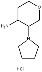 3-(pyrrolidin-1-yl)oxan-4-amine dihydrochloride Structure