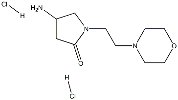 4-amino-1-[2-(morpholin-4-yl)ethyl]pyrrolidin-2-one dihydrochloride 구조식 이미지