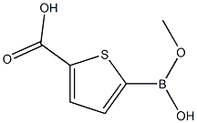 Methyl thiophene-2-boronic acid-5-carboxylate 구조식 이미지