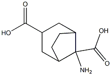 8-aminobicyclo[3.2.1]octane-3,8-dicarboxylic acid Structure